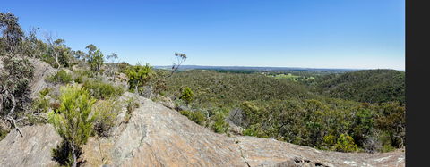 Hale Conservation Park - ACT Tourism 0