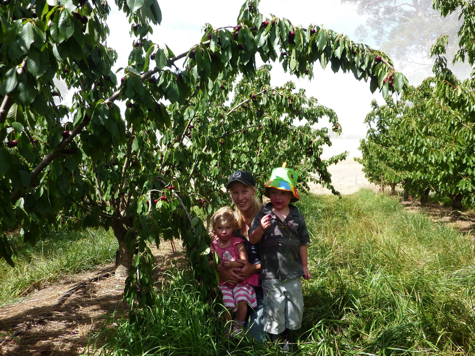 Adelaide Hills SA ACT Tourism