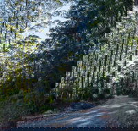 Hastings Forest Way Touring Route - ACT Tourism