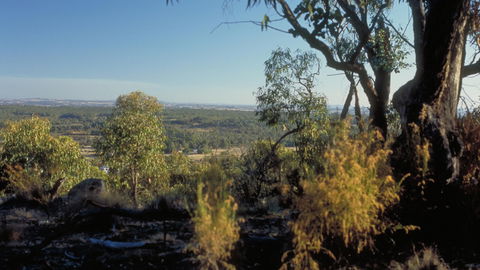 Heathcote-Graytown National Park - ACT Tourism 0