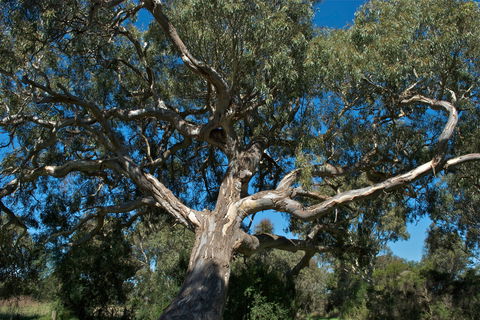 Holey Plains State Park - ACT Tourism 0