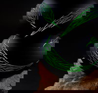 James McMurtrie's  Glass Blowing Studio and Gallery - ACT Tourism