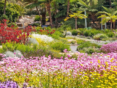 Jurassic Garden AR Experience - ACT Tourism 0