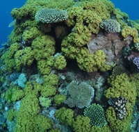 Keeper Reef Dive Site - ACT Tourism