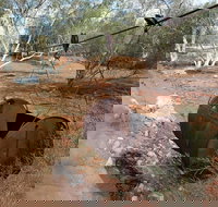 Kingsford Smith Mail Run - ACT Tourism