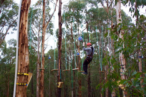 Kinglake Forest Adventures - ACT Tourism 0