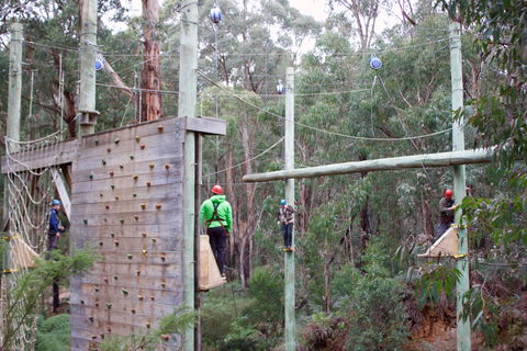 Kinglake Forest Adventures - ACT Tourism 1