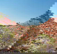 Lark Quarry Conservation Park - ACT Tourism