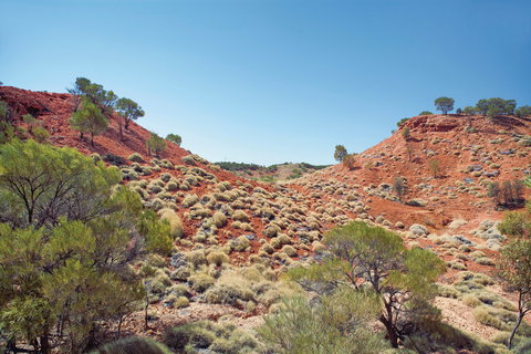 Lark Quarry Conservation Park - ACT Tourism 0