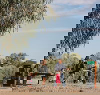 Marrambidya Wetland - ACT Tourism