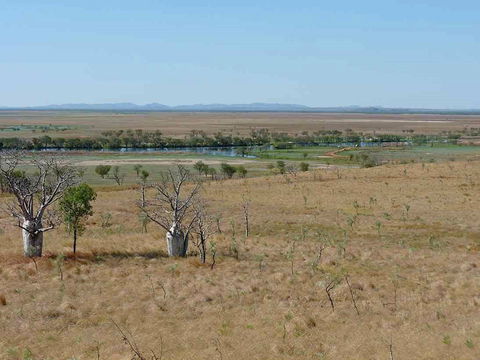 Marlgu Billabong - ACT Tourism 0