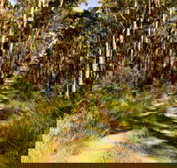 Mining Road Fire Trail Old Gibber Road Rire Trail - ACT Tourism