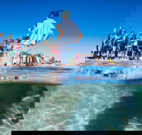 Monkey Mia - ACT Tourism