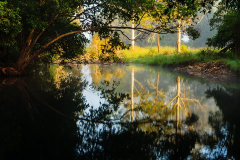 Mothar Mountain Rockpools - ACT Tourism 2