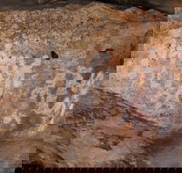 Ngamadjidj Shelter - Wartook Valley - ACT Tourism