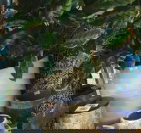 Noreen's Seaside Shop - ACT Tourism