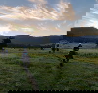 Numinbah Valley Adventure  Camping - ACT Tourism