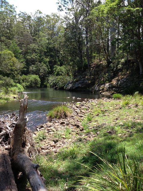 Numinbah Valley Adventure  Camping - ACT Tourism 1