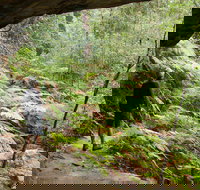 Old Great North Road Bike Ride - ACT Tourism