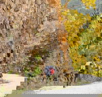 Old Great North Road - World Heritage Walk - ACT Tourism