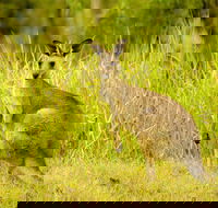 Perseverance - ACT Tourism