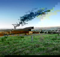 Ravensbourne National Park - ACT Tourism