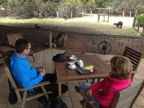 Rustic Blue Gallery Cafe Day Spa - ACT Tourism 2