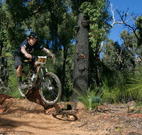 Scorpion Trail Kalamunda Mountain Bike Trails - ACT Tourism