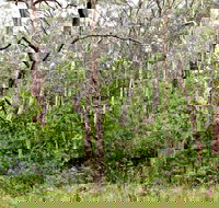 Scutts Hut Trail - ACT Tourism