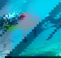 Shellharbour Scuba  and Photography Centre - ACT Tourism