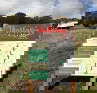 The Wallaby Track - ACT Tourism