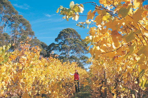 The Great Southern Drive - ACT Tourism 1