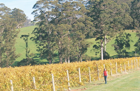 The Great Southern Drive - ACT Tourism 2