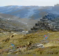 Thredbo Mountain Biking - ACT Tourism