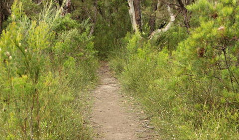 Three Views Walking Track - ACT Tourism 0