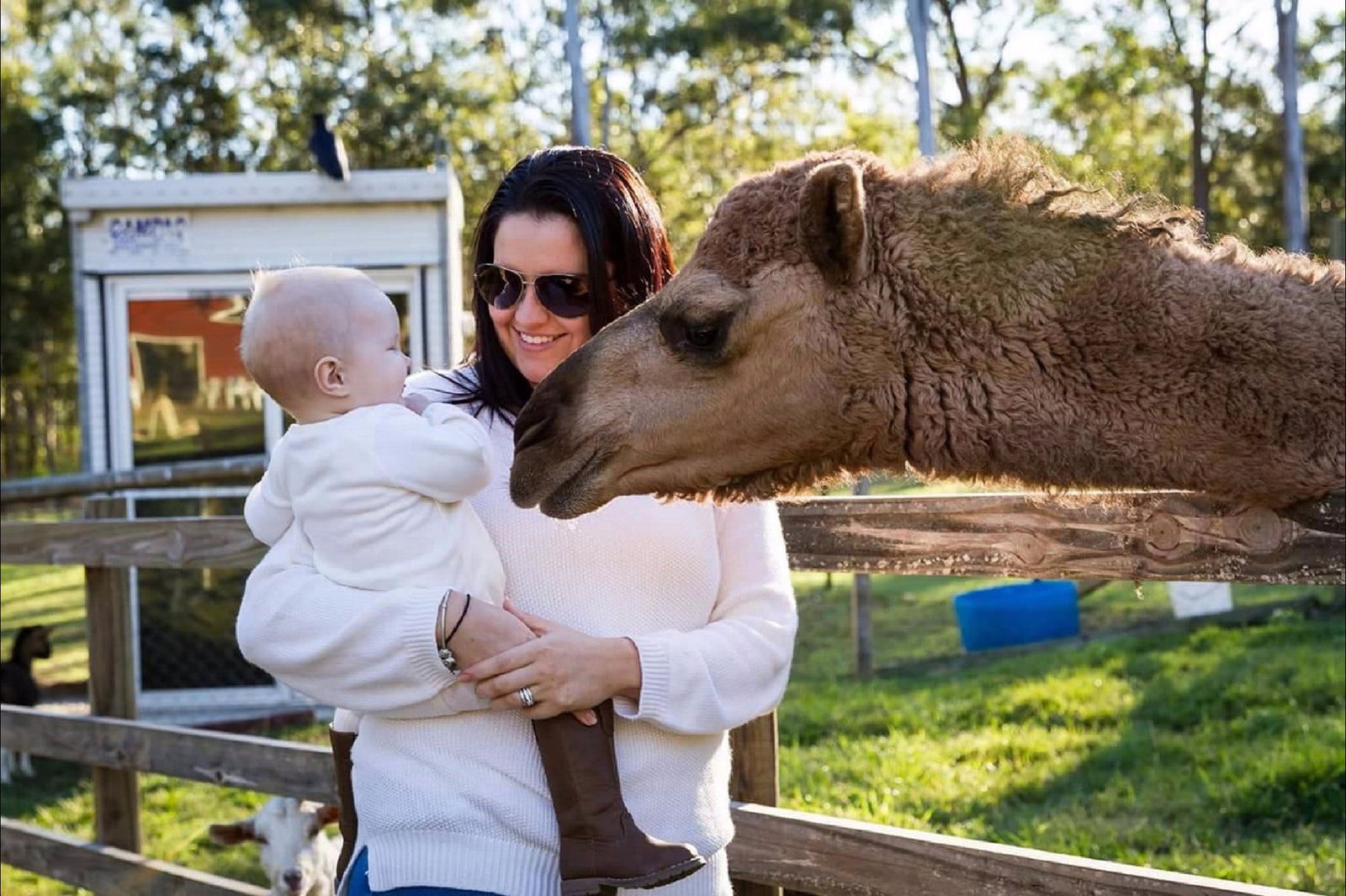 Elimbah QLD ACT Tourism