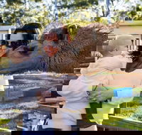 White Ridge Farm - ACT Tourism