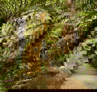 William Ricketts Sanctuary - ACT Tourism