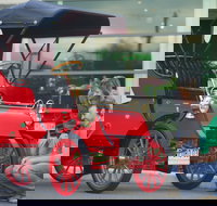 Wonders of Wynyard  Exhibition and Visitor Information Centre - ACT Tourism