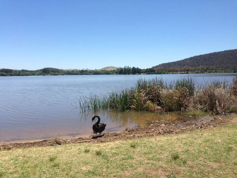 Yarralumla Bay - ACT Tourism 0