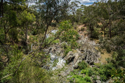 Yarrambat Park - ACT Tourism 0