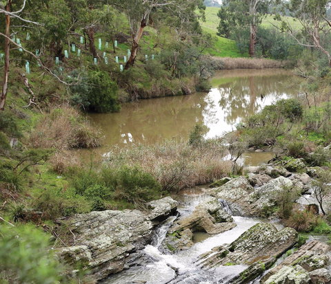 Yarrambat Park - ACT Tourism 1