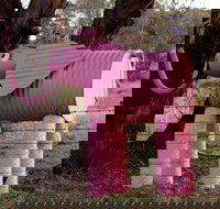 Animals on Bikes - ACT Tourism