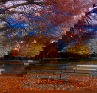 Bells Parade Reserve - ACT Tourism