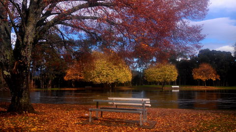 Bells Parade Reserve - ACT Tourism 0