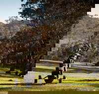 Blayney Golf Club - ACT Tourism