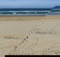 Bongil Beach - ACT Tourism