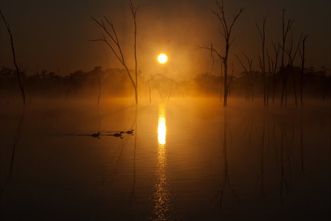 Boshack Outback - ACT Tourism 1
