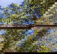 Bribie Island Bicentennial Trails - ACT Tourism