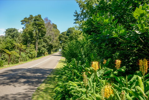 Broughton Vale - ACT Tourism 0